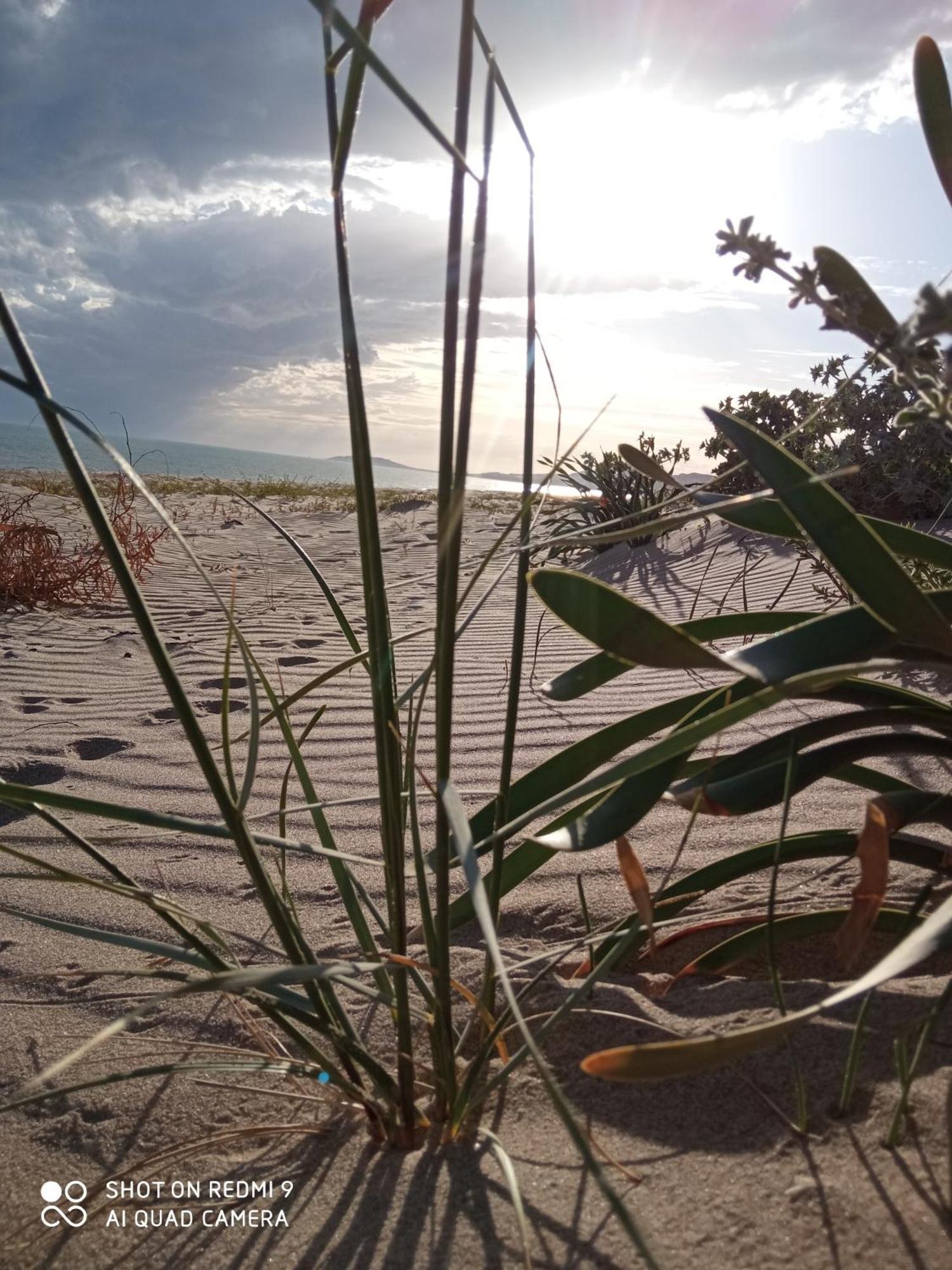 Natura E Relax Sul Mare Гела Экстерьер фото